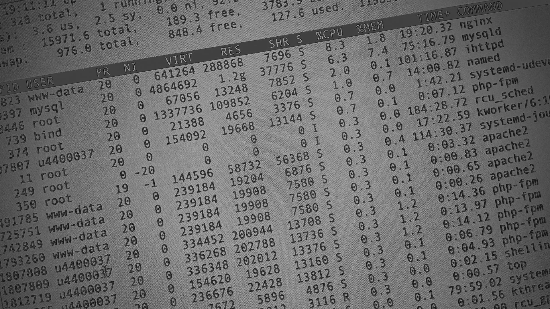 Настройка сервера в Невельске Настройка сервера в Невельске